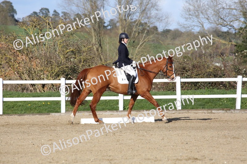 20260314-6062 - CT5 - Novice 2