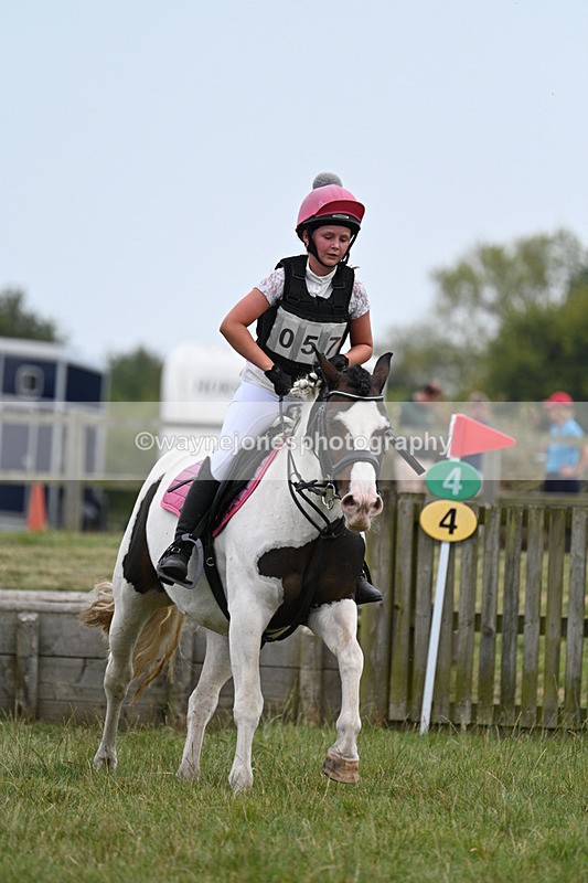 WJ7_8511 - 80cm XC Time 15:45 to 16:02