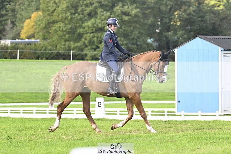 251023A-151435-04550 - E-387-Vittoria.Panizzon