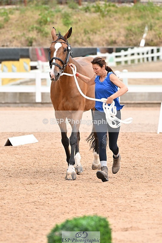 250716-144437-01351 - Trot Up 2.30 to 3.30