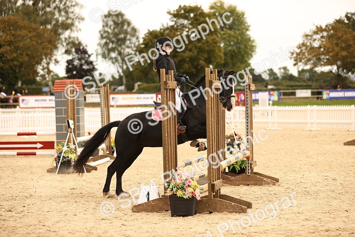 SBM_72499 - J14 - Junior Pony 65cm Championship
