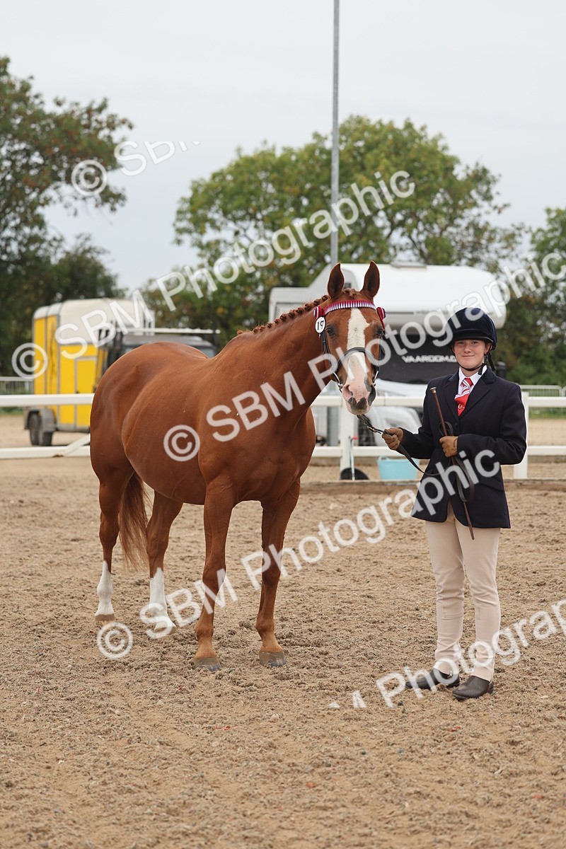 SBM_00573_Class 13 - Young Handler - Alison C