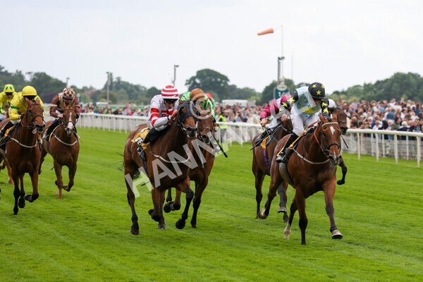 yr11062022r3-28 - Race 3 2.35pm The JCB Stakes