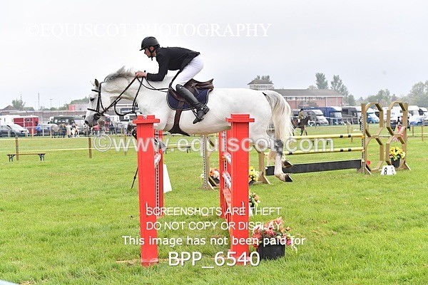BPP_6540 - CLASS 1 Senior Newcomers/ 1.10m Open