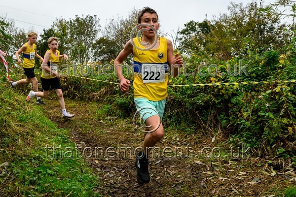 WestRLY25-812161 - Young Male Set One