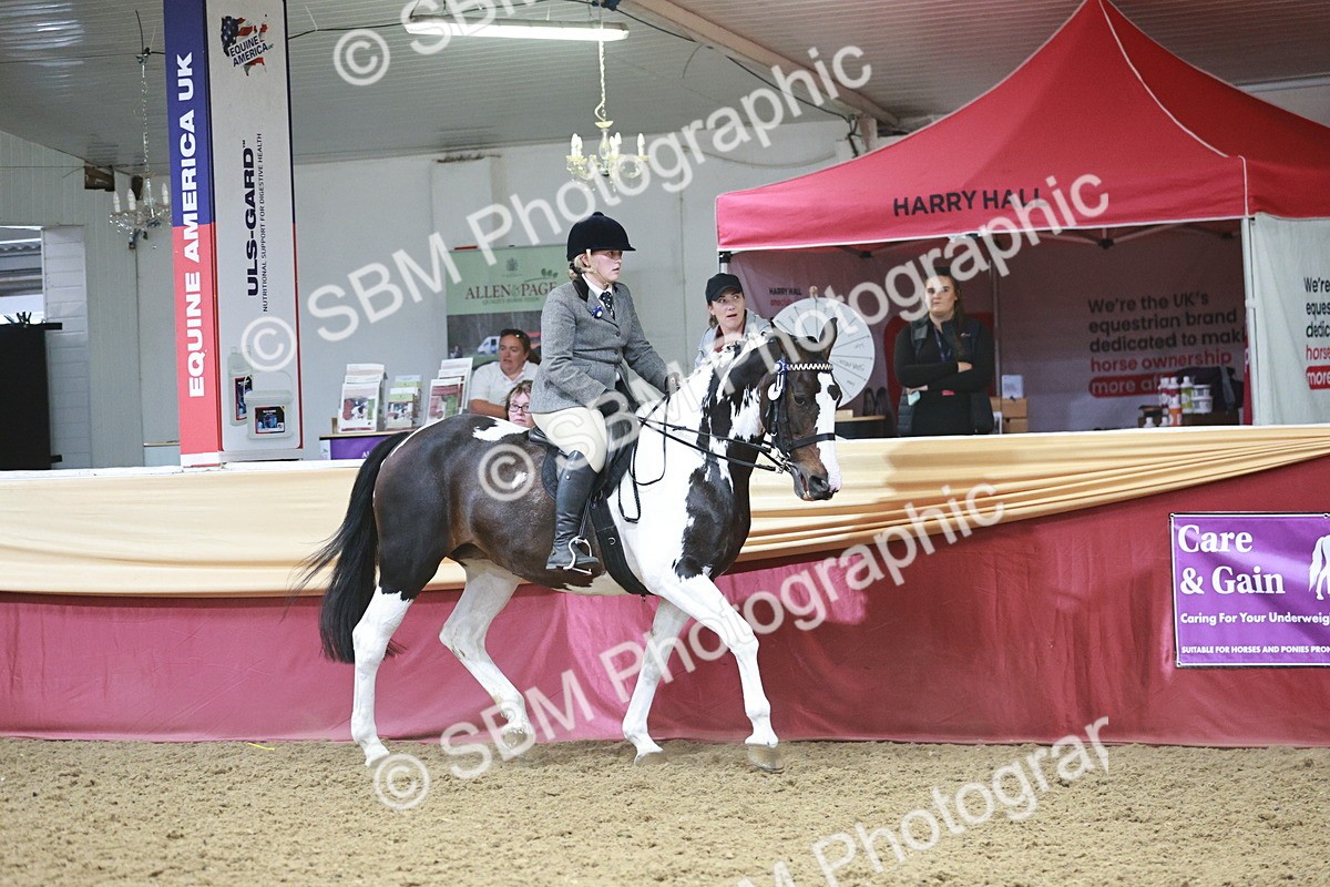 SBM_08825 - Class 12R - Regional Ridden Pre-Vet