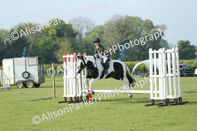 20260426-0028 - Class 13 - Rookie Jumping 50cm