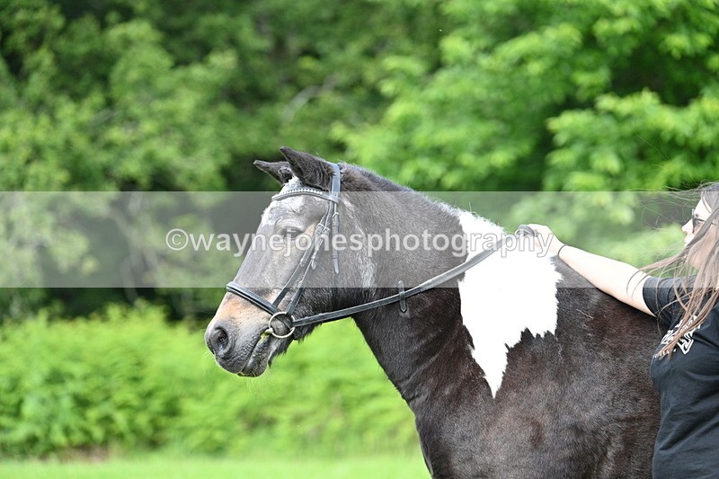 WJ7_1633 - Class 11 Condition & Turnout