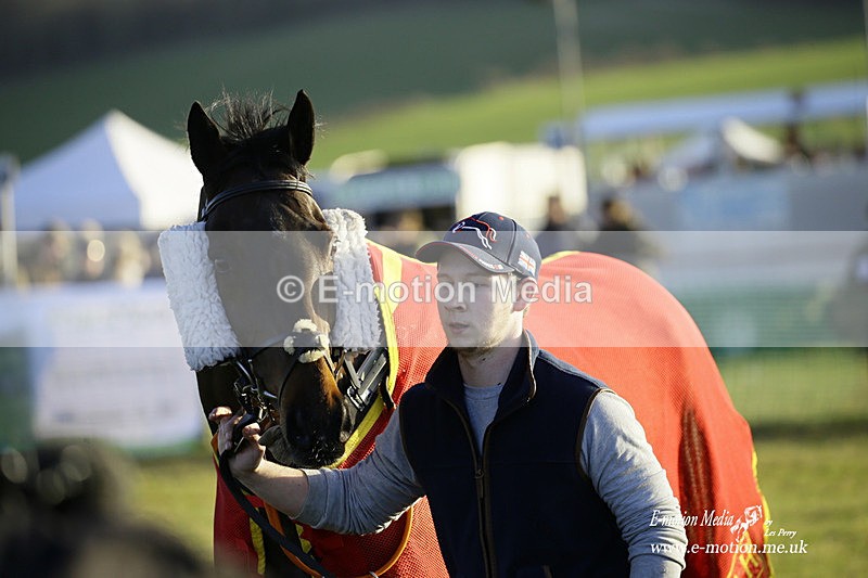 PtP 300122 676 - South Dorset Hunt - Point-to-Point Races 30/01/2022