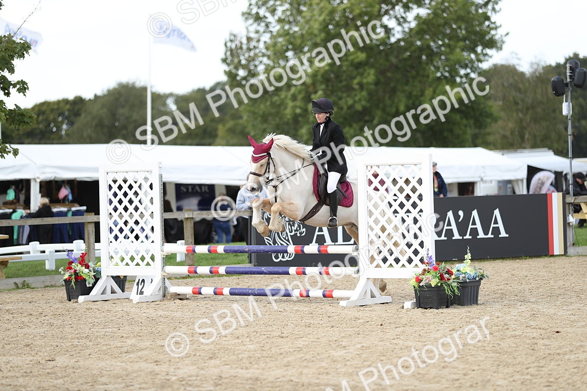 SBM_06426 - J29 - Senior Horse & Pony 65cm Championship
