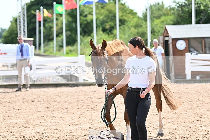 240717A-150756-02568 - Trot Up 3pm to 4pm