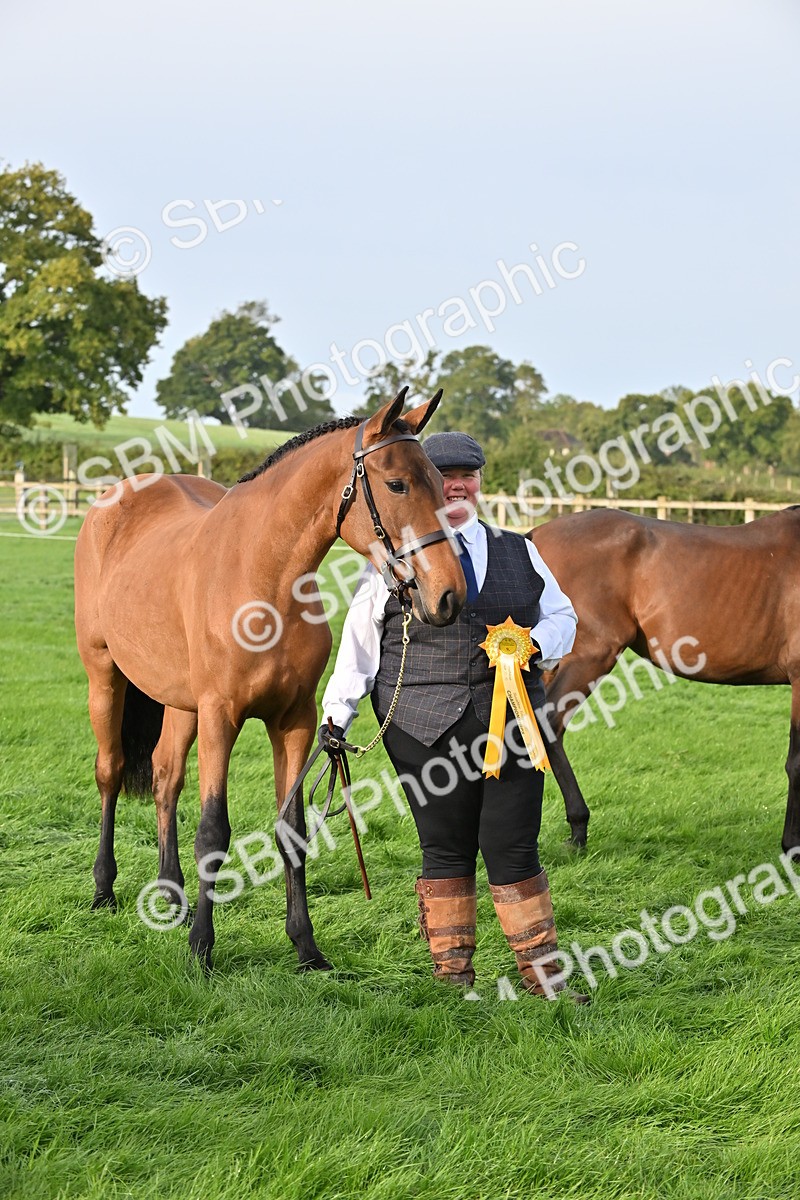 SBM_55404 - S44 - Youngstock In Hand