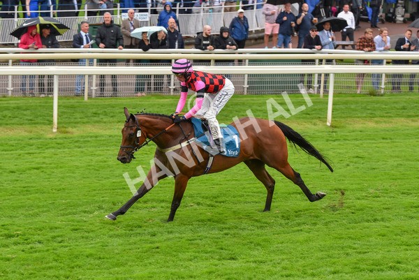 140723-Race 4-Andaleep-8260 - Race 4 3.50pm Azets Handicap