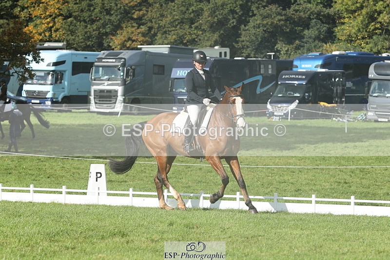 251023A-144536-05030 - G-523-Tasha.Seely