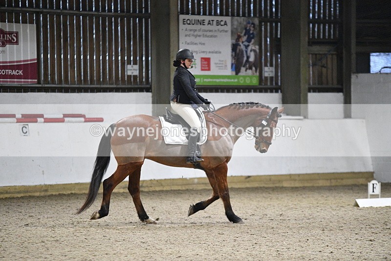 WJ5_0874 - Time 15:31 to 15:50
