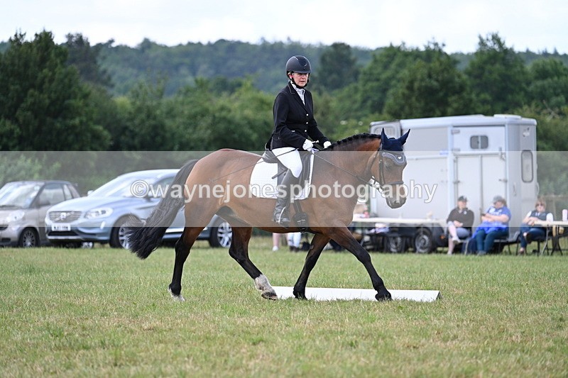 WJ7_5347 - Time 11:22 to 11:51