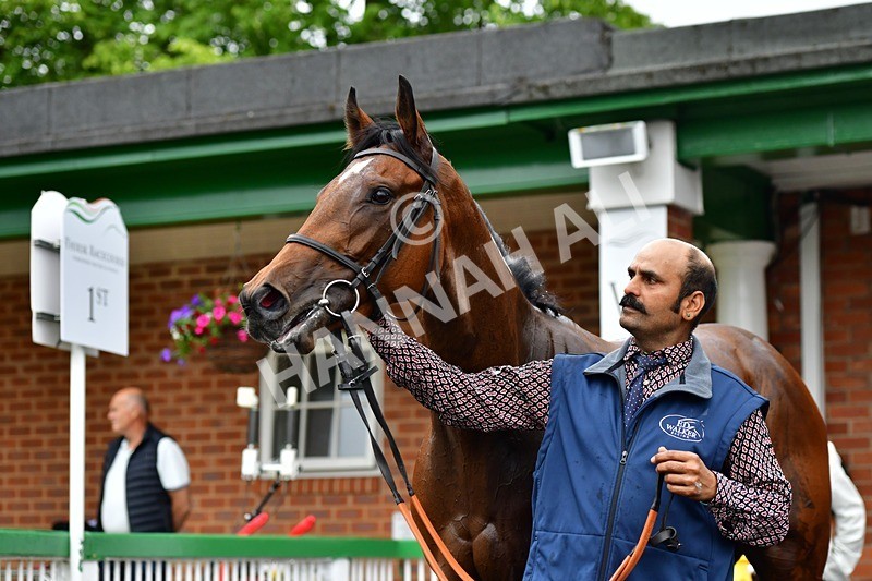 170625-Race 1-Royal Fixation-3520 - Race 1
