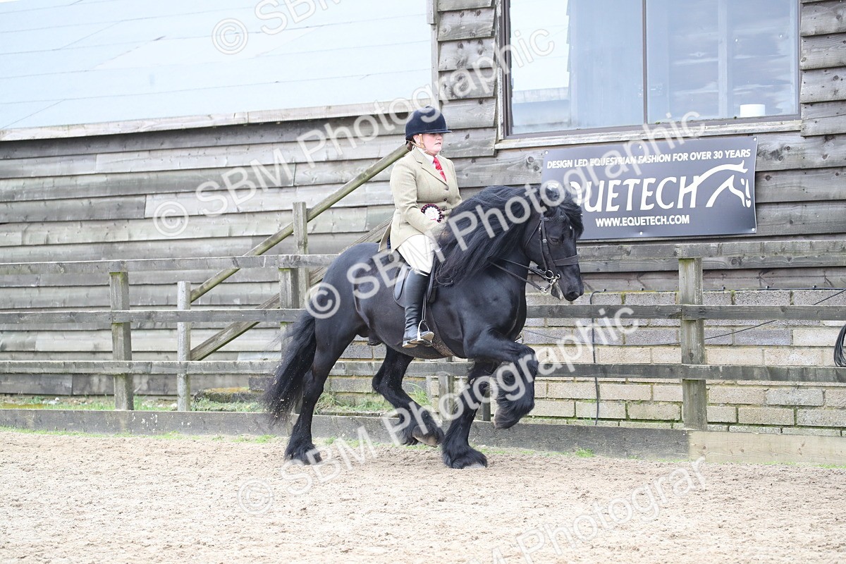 SBM_006480 - Class 10-13 - RIHS Small Large Breeds