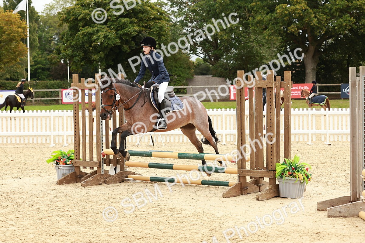 SBM_67031 - J13 - Junior Pony 60cm Championship