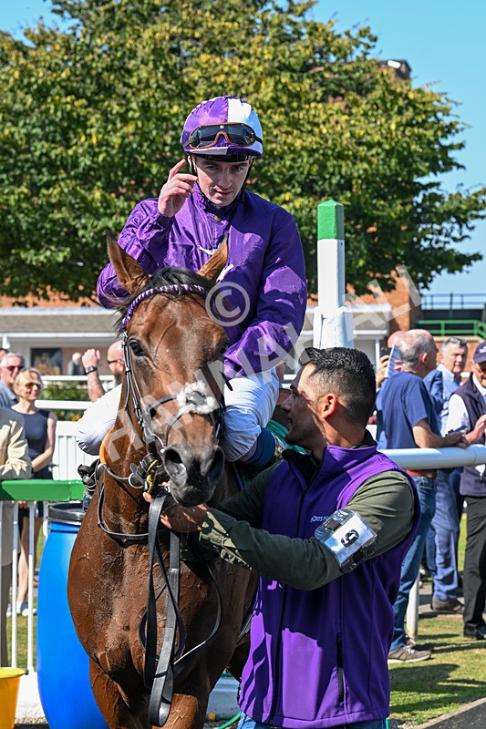 300824-Race 1-Tuscan Hills-5663 - Race 1