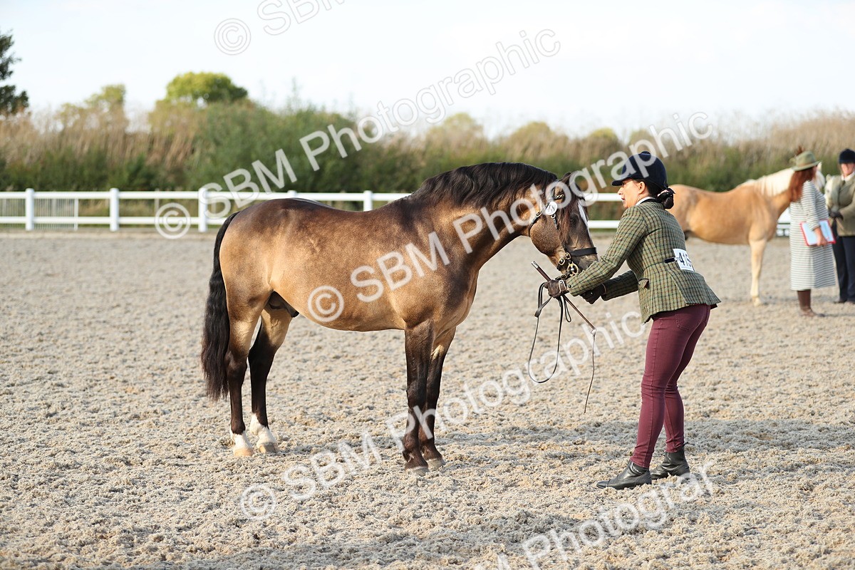 SBM_08944 - Class 29 IH Veteran Pony
