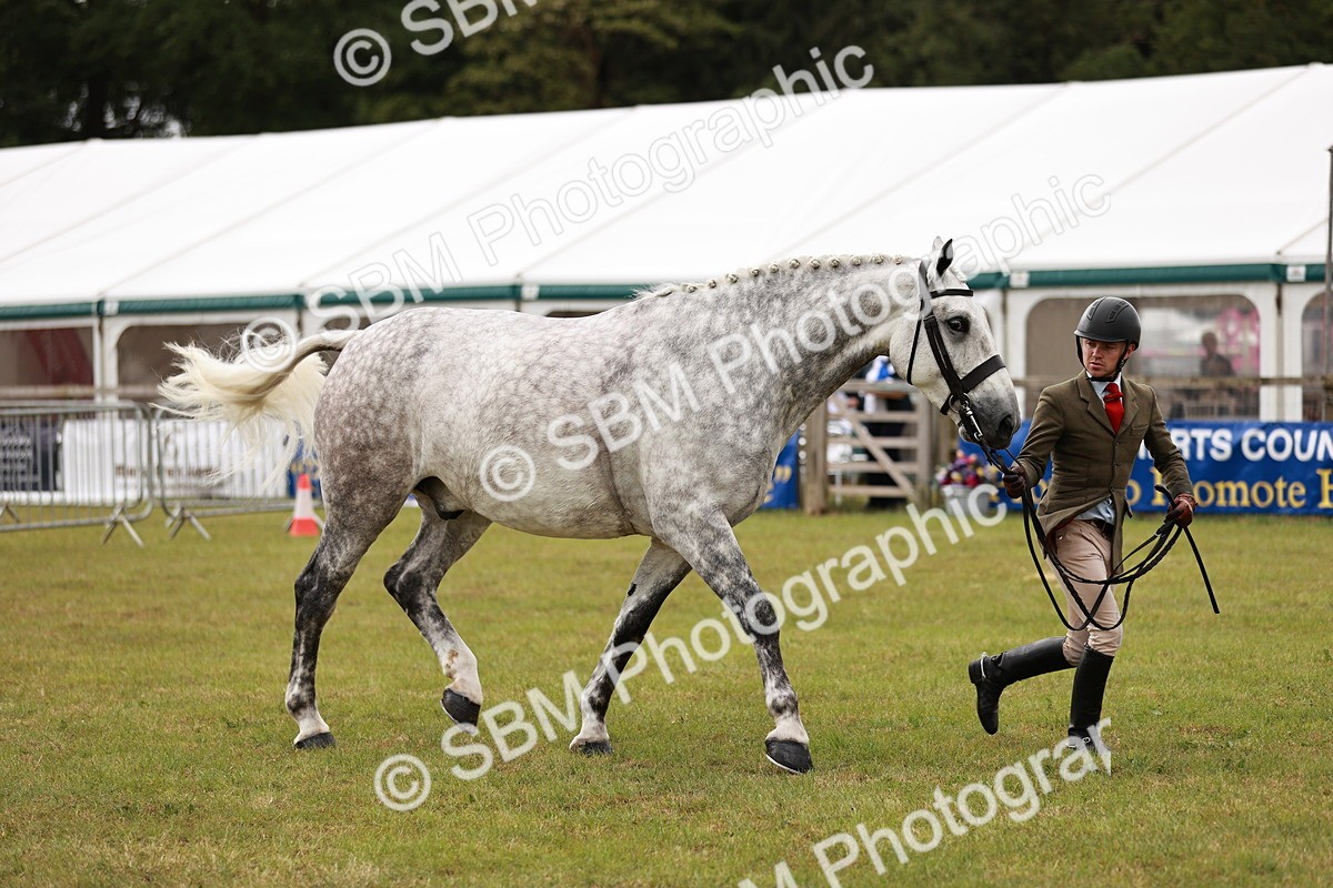 SBM_10948 - Class 81-84 - RIHS Ridden hunters Inc Ladies Hunter