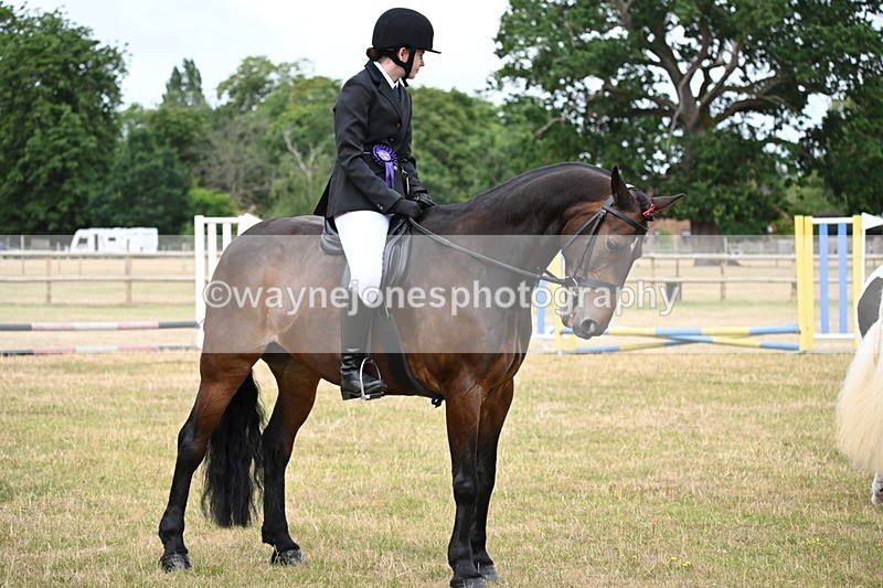 WJ6_4045 - Class 9 Tack & Turnout