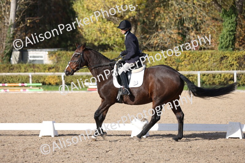 20251101-0637 - Class 5 - Novice 3