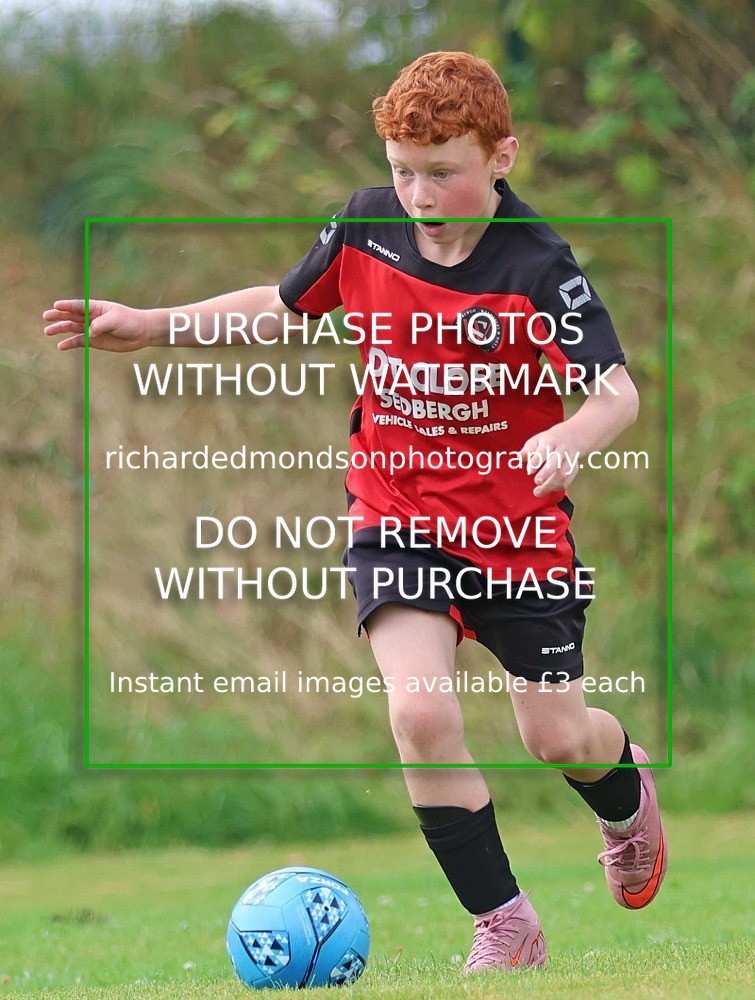 533A3009 - Sedbergh Wanderers (morning Ibis)