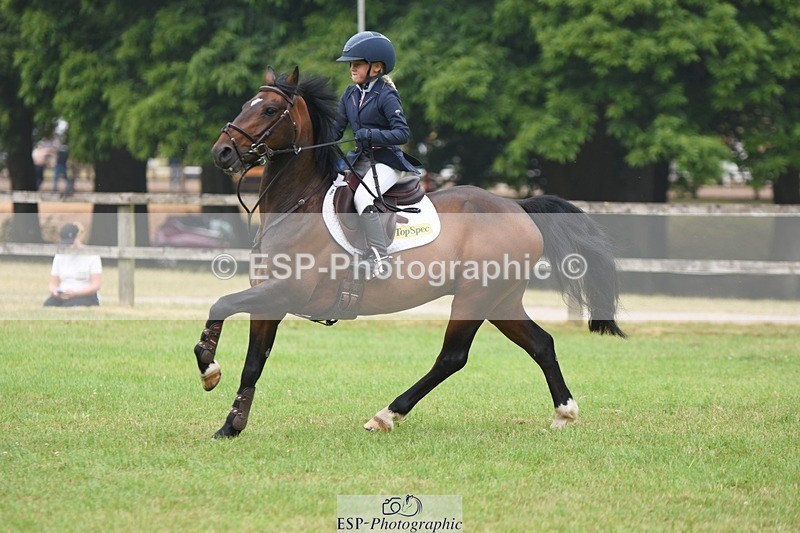 230618-110604-10709 - Cls 28 British Novice & 80cm Open