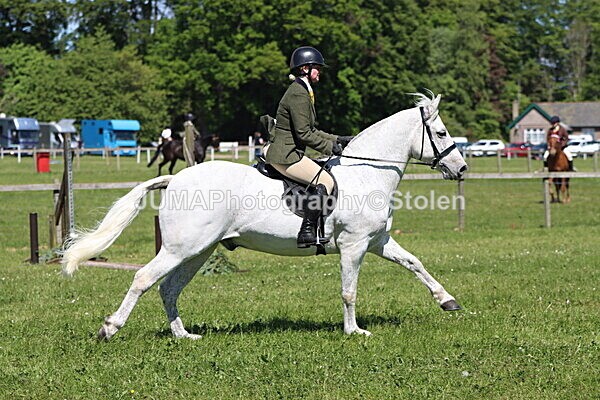 IMG_3860 - Working Hunter