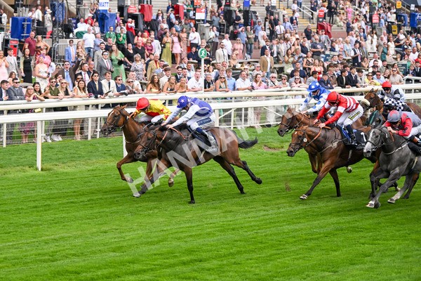 250725-Race 1-Pressures On - Quest For Fun-5349 - Race 1 5.30pm eventmasters.co.uk Handicap