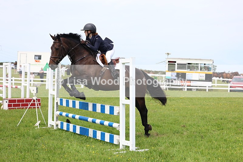 3E7A1577 - Class 13: Senior British Novice/90cm open