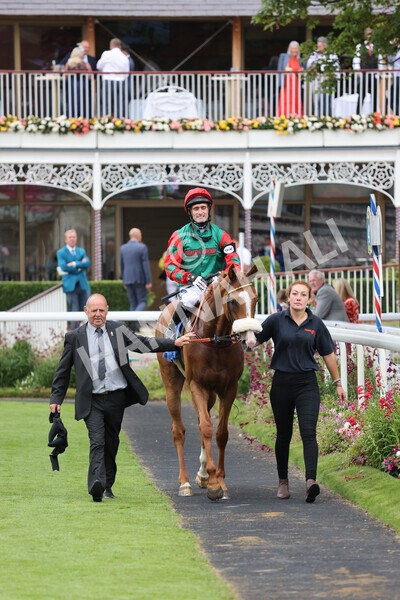 yr24072021r7-61 - Race 7 5.35pm The Sporting Life Fast Results Stakes