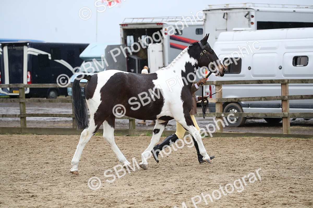 SBM_008041 - Class 15 - 18 - CHAPS Inc Championship