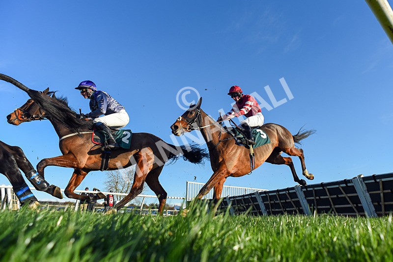 221124-Race 1-You Some Girl-2660 - Race 1