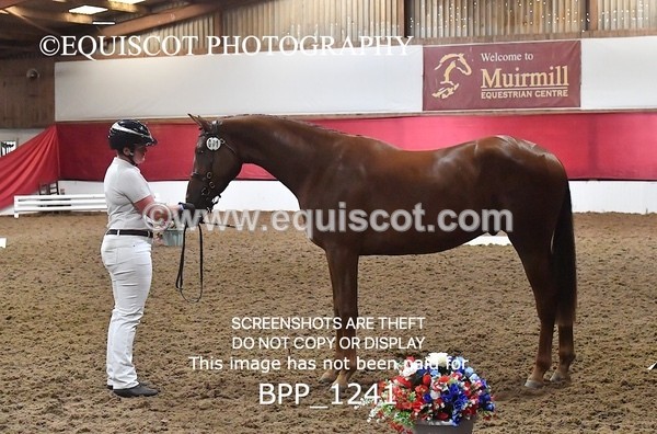 BPP_1241 - MORNING 9AM - 12PM