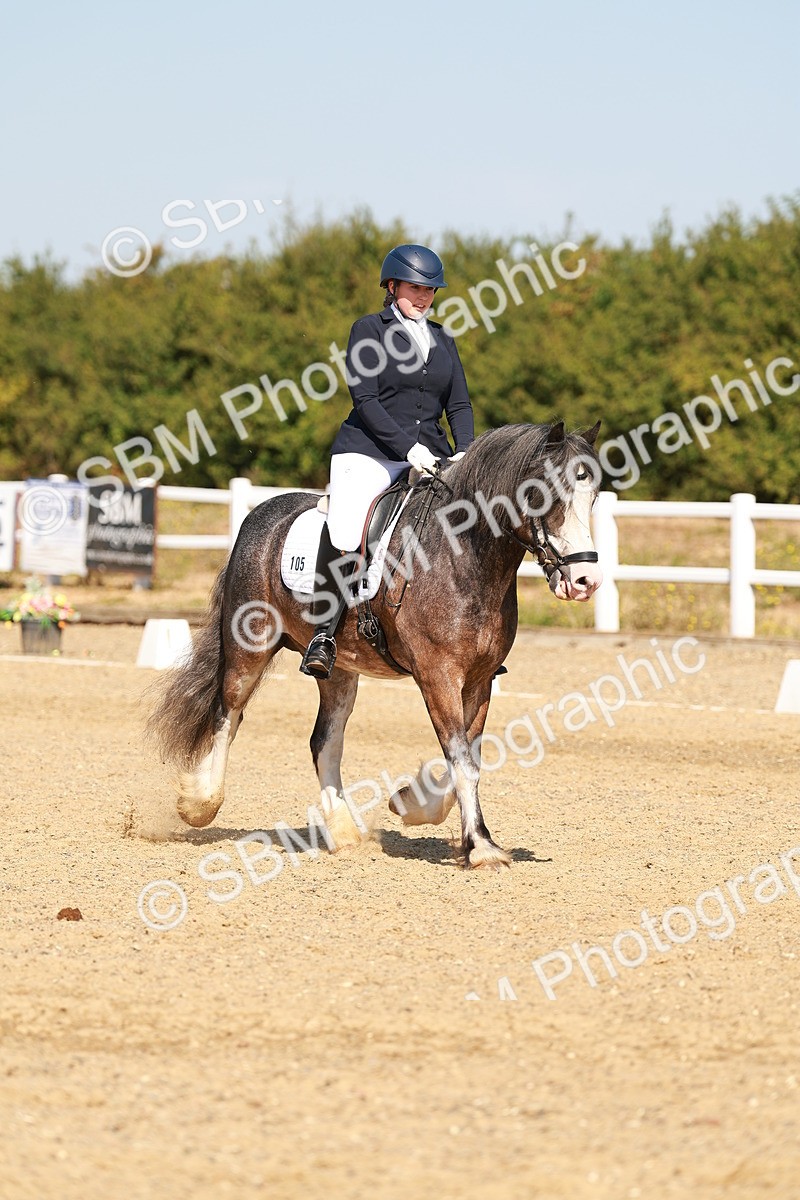 SBM_017763 - Class 9 - N5 Bronze 10.33.11.36