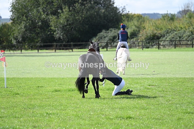 WJ7_8549 - 60cm Pairs