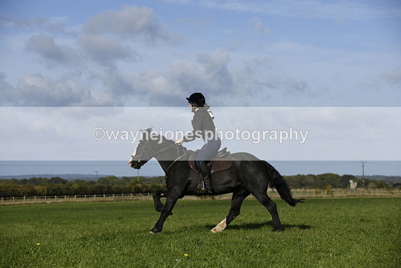 _DSC5303 - Time 10:49 to 11:23