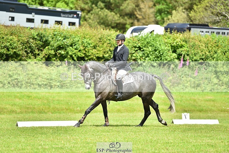 240523B-114308-02059 - 5 Year Old