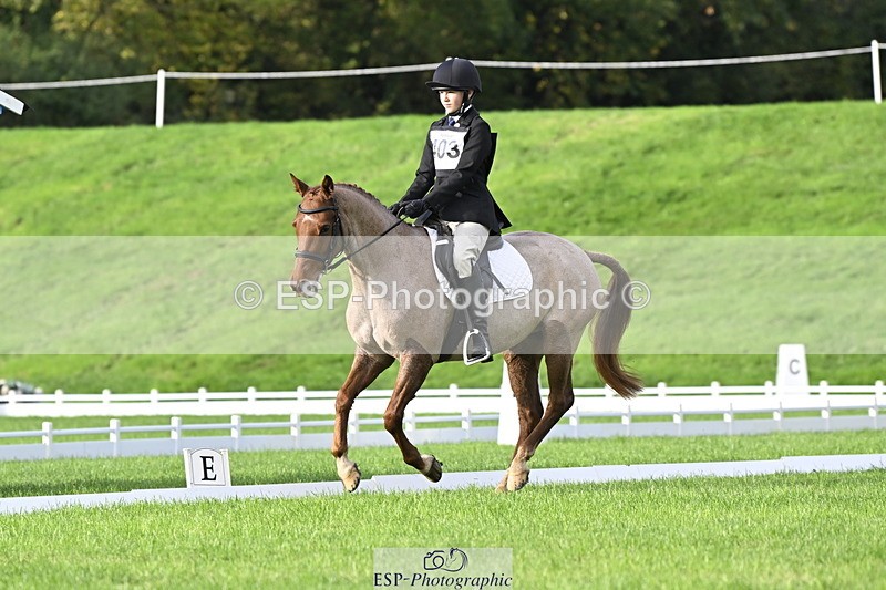 251023A-102033-02822 - F-403-Hugo.Moor