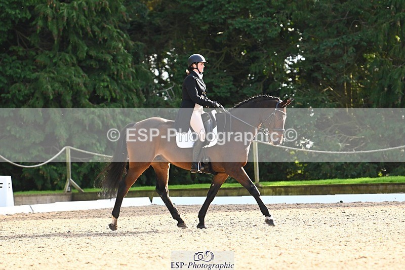 231021-142523-18706 - 253-GEKO-Odette.Orlande-DR