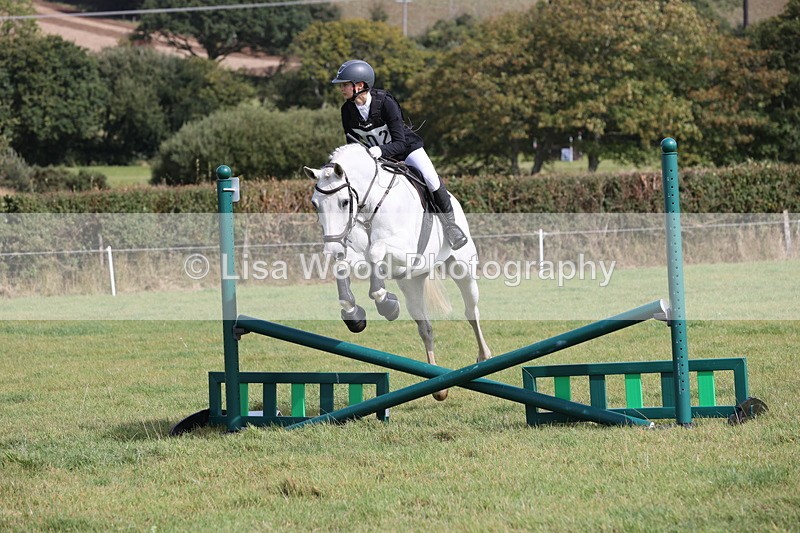 JPP_8561 - Class 2: Trekenning: 80cm Showjumping