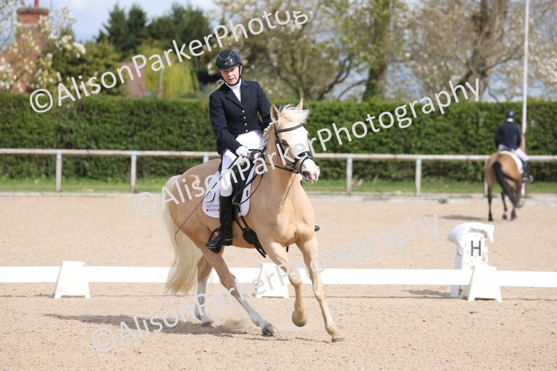 20260405-0208 - Class 3 - Novice 5