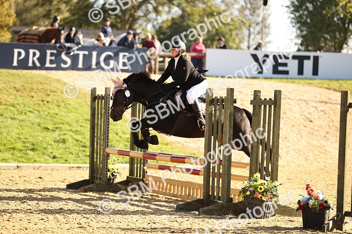 SBM_35160 - J38 - Senior 80cm Championship