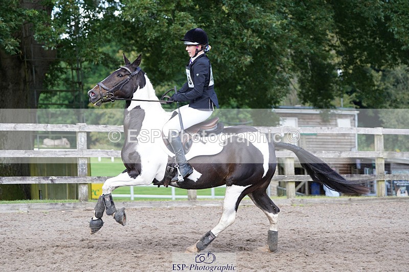 240824X-145240-28541 - 80cm Round 1 14.00 to 15.30