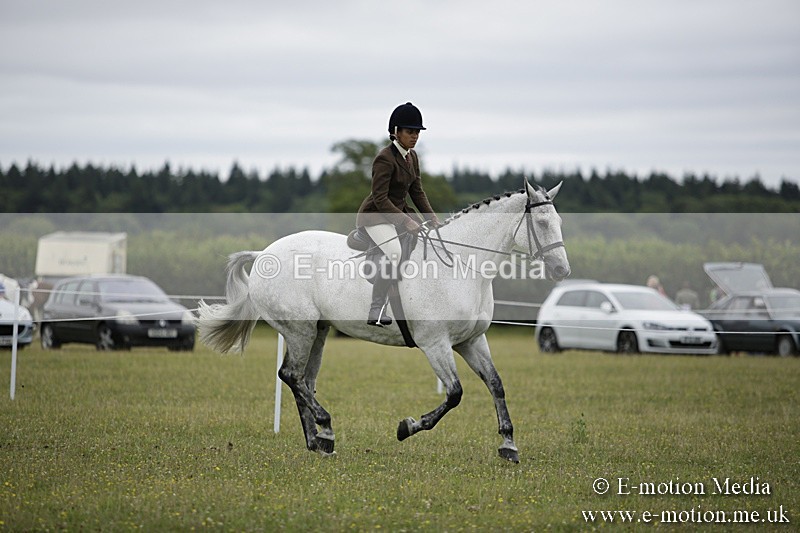 BVR160717-1025 - Ring 1 BVRC Show 16/07/17