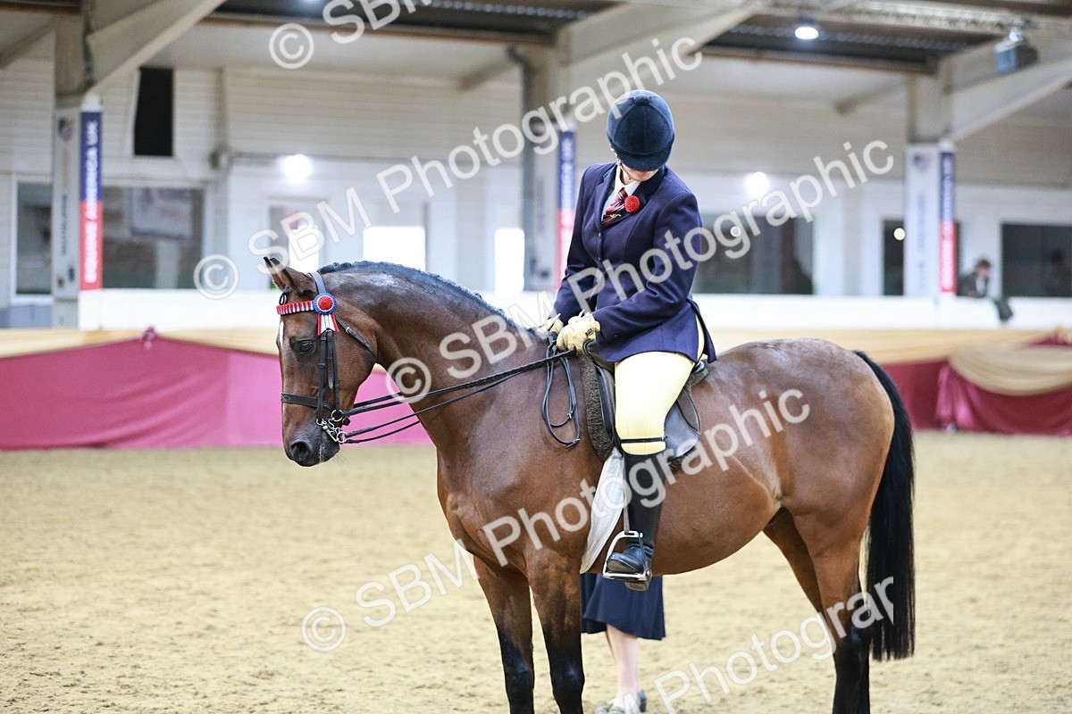 SBM_08262 - Class 11R - Regional Ridden Veteran