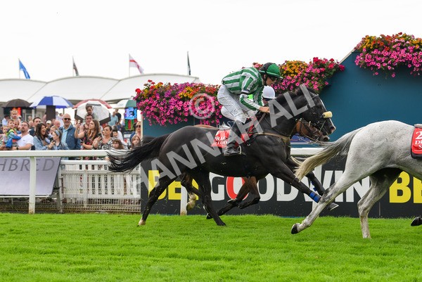 100923-Pony Race 2-1705 - Pony Race 2 12.45 The Dragon (TV and Film) Studios Pony Race 148cm & Under